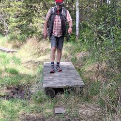 ....auch über Holzplanken.