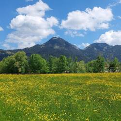 Auch das ist der Breitenstein, 1622 m.