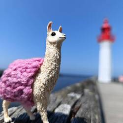 🦙 mit Leuchtturm Nr. 2