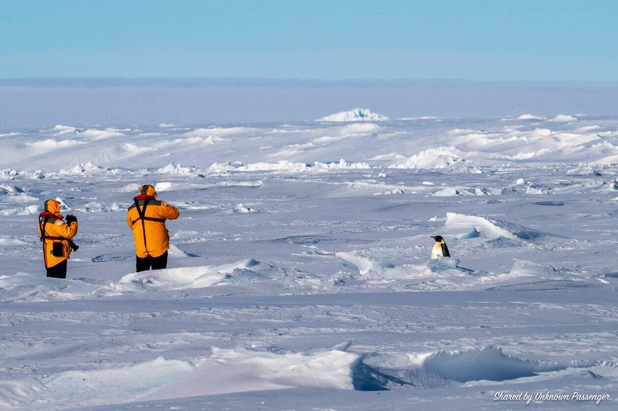 A fellow passenger catches us enjoying the company of an emperor penguin — Vahsel Bay, Antarctica.