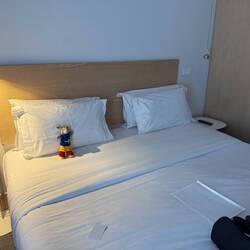 Much larger bed than I'm used to, but I have to share