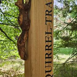 Op de Squirrel Trail.