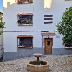 Buchs am komisch tue