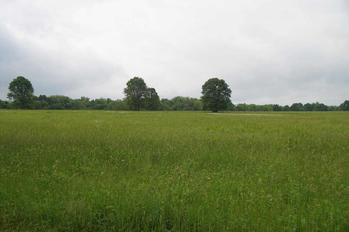 friedliches Schlachtfeld heute