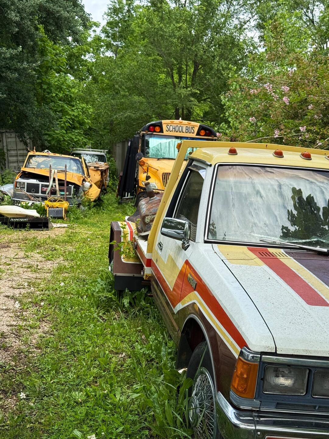 Oft sieht es direkt hinter den, auch ziemlich verkommenen Häusern so aus