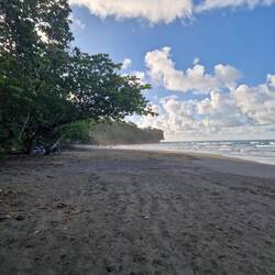 Playa Negra, wos üs ned so gfalle hed