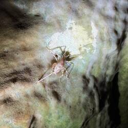 Den Freund kannte ich schon aus anderen Höhlen 😇