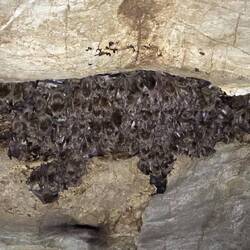 So etwas habe ich in meinem Leben noch nicht gesehen 🫶❤️