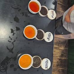 Die durften wir dann alle probieren 😍