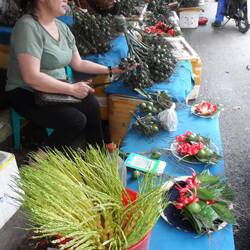 Tout pour chiquer, feuilles de bétel, noix d'arec