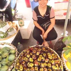 nos derniers mangoustans