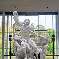 Michelangelo's Laocoön