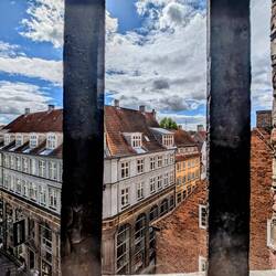 Peaking through the windows