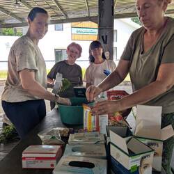Preparing enrichment boxes
