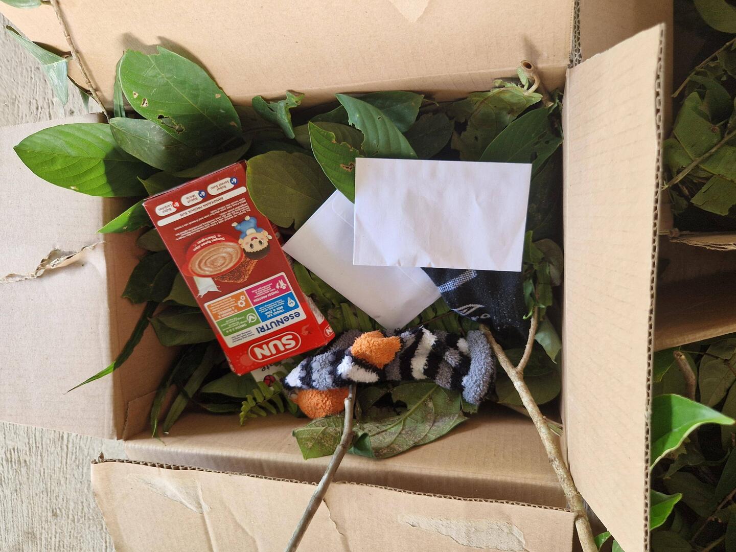 Enrichment boxes