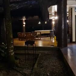 Outside my room at midnight. The jungle isn't quiet at night