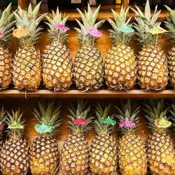 Ananas an einem Pina Colada-Stand. Bei einer so schönen Präsentation mussten wir natürlich testen...