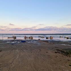 Ebbe im Bassin du Arcachon