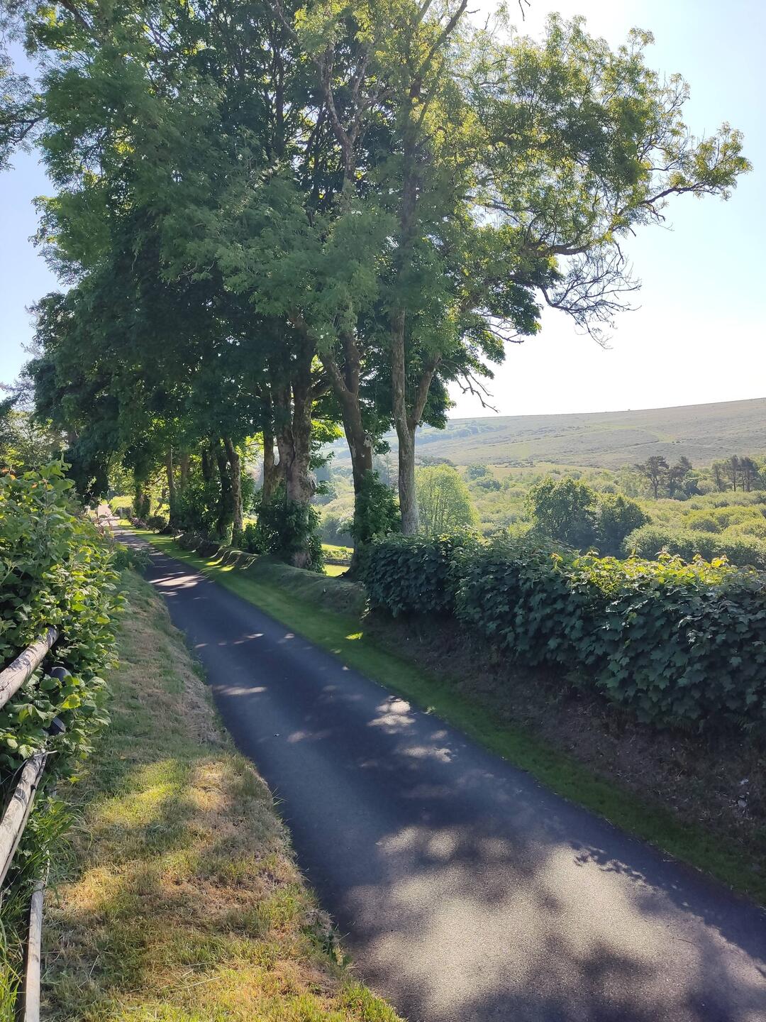 Die Einfahrt zum Cottage vom Cottage aus