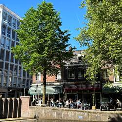 Busy afternoon in Amsterdam