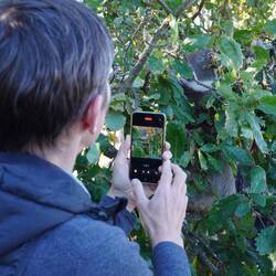 natürlich von allen Seiten fotografiert.