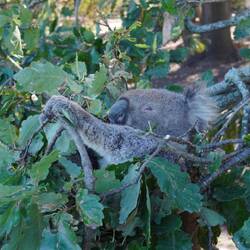 Winken zum Abschied, der kleine Kerl ist tatsächlich während der 15 Minuten nicht eingeschlafen.