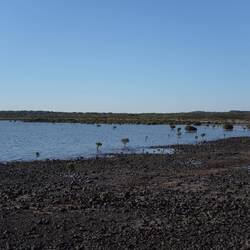 Bei der Rückkehr Flut.