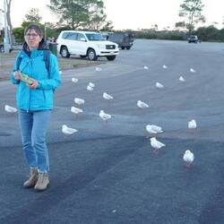 Mit dem richtigen Content gewinnt man Follower!