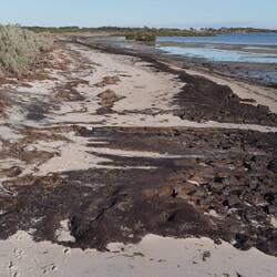 Der kurze Abstecher an den Strand hat es dann zumindest etwas aufgelockert.