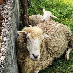 When I peeked over the ledge off the trail.