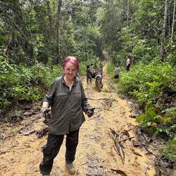 Leaf collection in the swampy forest