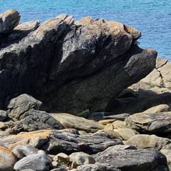 FISCH ? Gestrandet? Die Felsen sind der Hammer