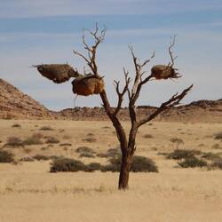 ... extrem Abwechslungsreich