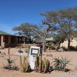 Rund um Solitaire ist es deutlich sandiger...