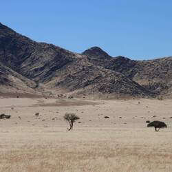 ...Namibia ist hier auf wenige hunderte Kilometer...