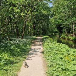 The return journey through the beautiful woodland
