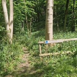 One of the RSPB's designated walks