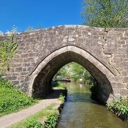 Cherryeye Bridge