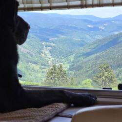 Niska enjoyed the views from her favourite seat