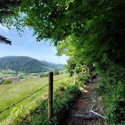 ...und bietet keine Bänke.