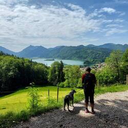 Der Aufstieg hat begonnen...