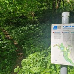 There were several bird spotting walks nearby but the terrain was too steep for Vicky