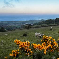Blick auf die Robin Hood Bay