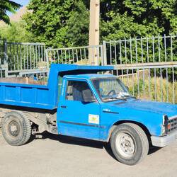 der iranische Lastesel