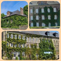 ...und wieder einmal "bewachsene" Häuser 😁