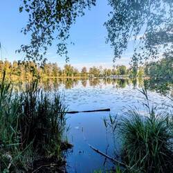 Steeger See bei Aulendorf