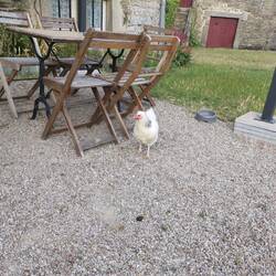 Mit Huhn