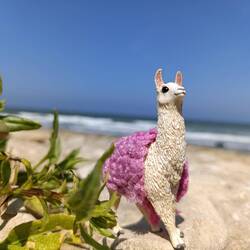 Mini-Kurt 🦙 war natürlich auch dabei