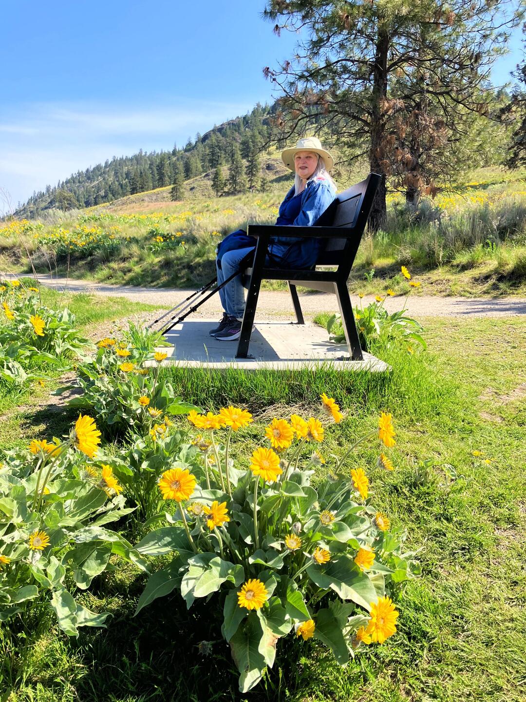A morning hike at Knox Mountain with balsam root in full bloom.