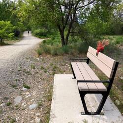Nancy walking 14 miles along Mission Creek Greenway noting the special messages on rest stops.